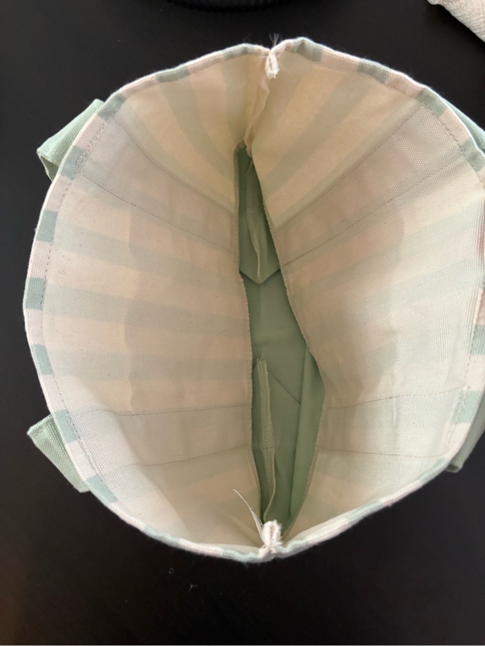 Trader Joe's Mint Green Stripe Canvas Mini Tote NWT Limited Edition - Picture 3 of 5